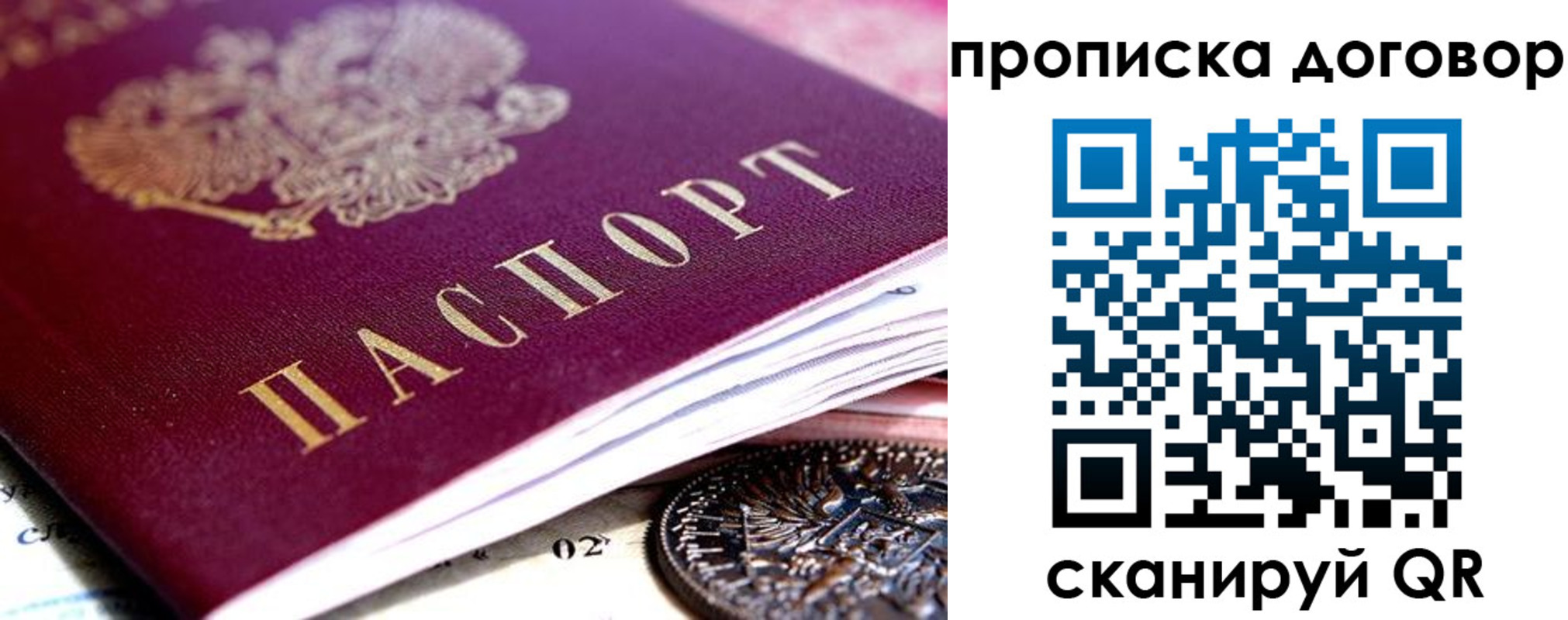 прописка иностранных граждан в Елизово